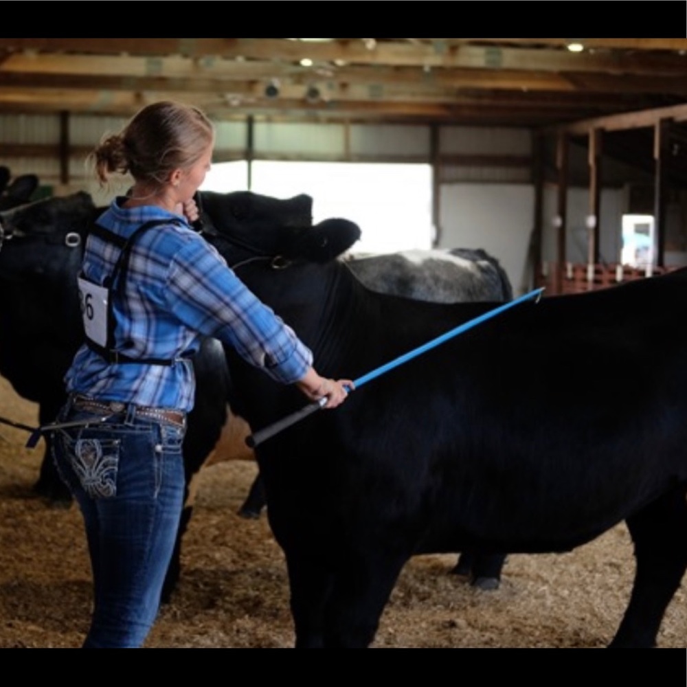 Meet your Posher, Paige